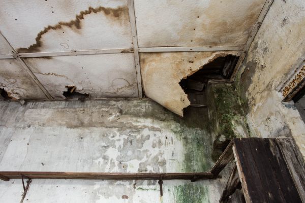 Water Damage Service in Ringgold