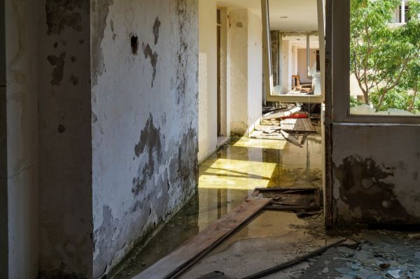 Water Removal Service in Ringgold