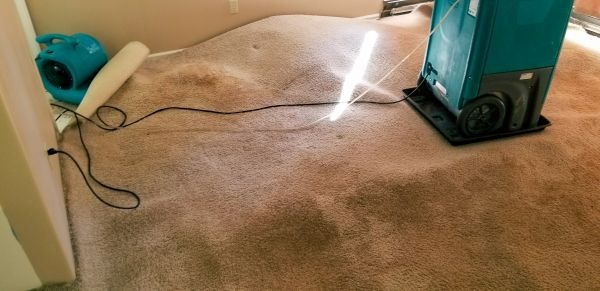 Carpet Water Extraction in Ringgold
