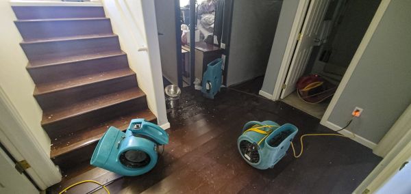 Water Damage Remediation in Ringgold
