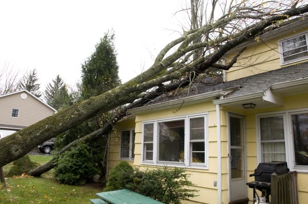 Hurricane Damage Repair in Ringgold