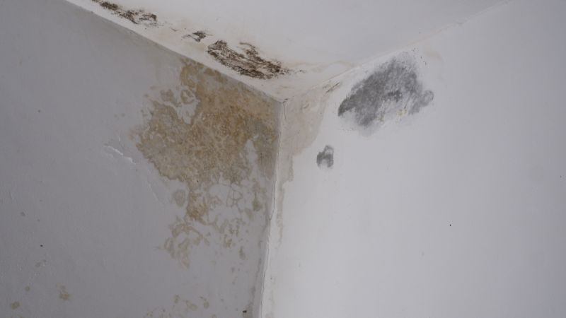 Water Damage Restoration